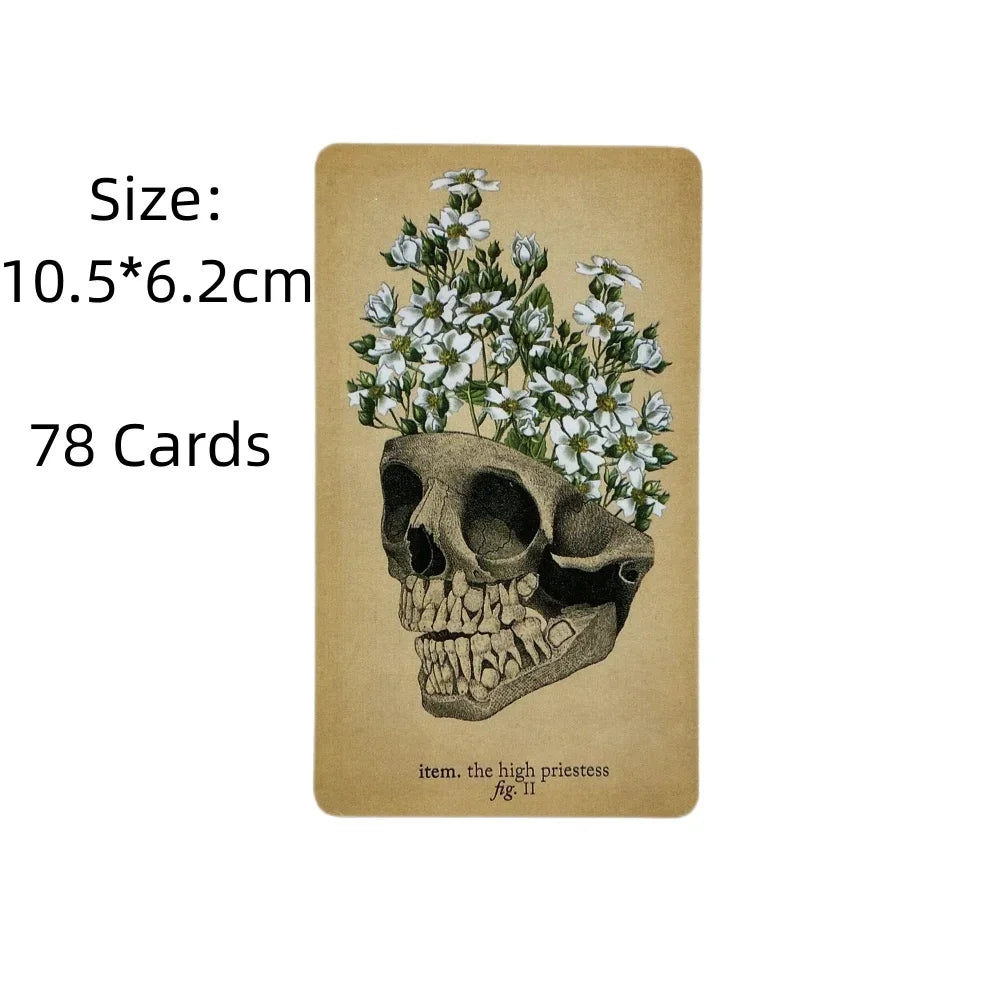 Tarot Anatomie Antique English Version - Collection "Tarots Modernes"